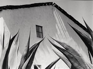 Image description is not available for 1996.020